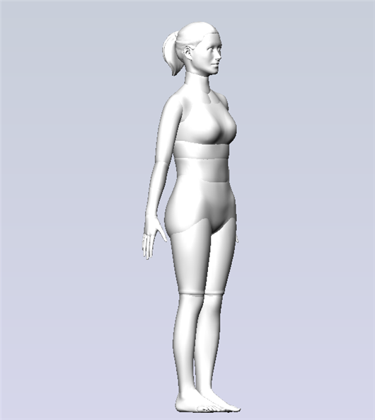 人体模型女